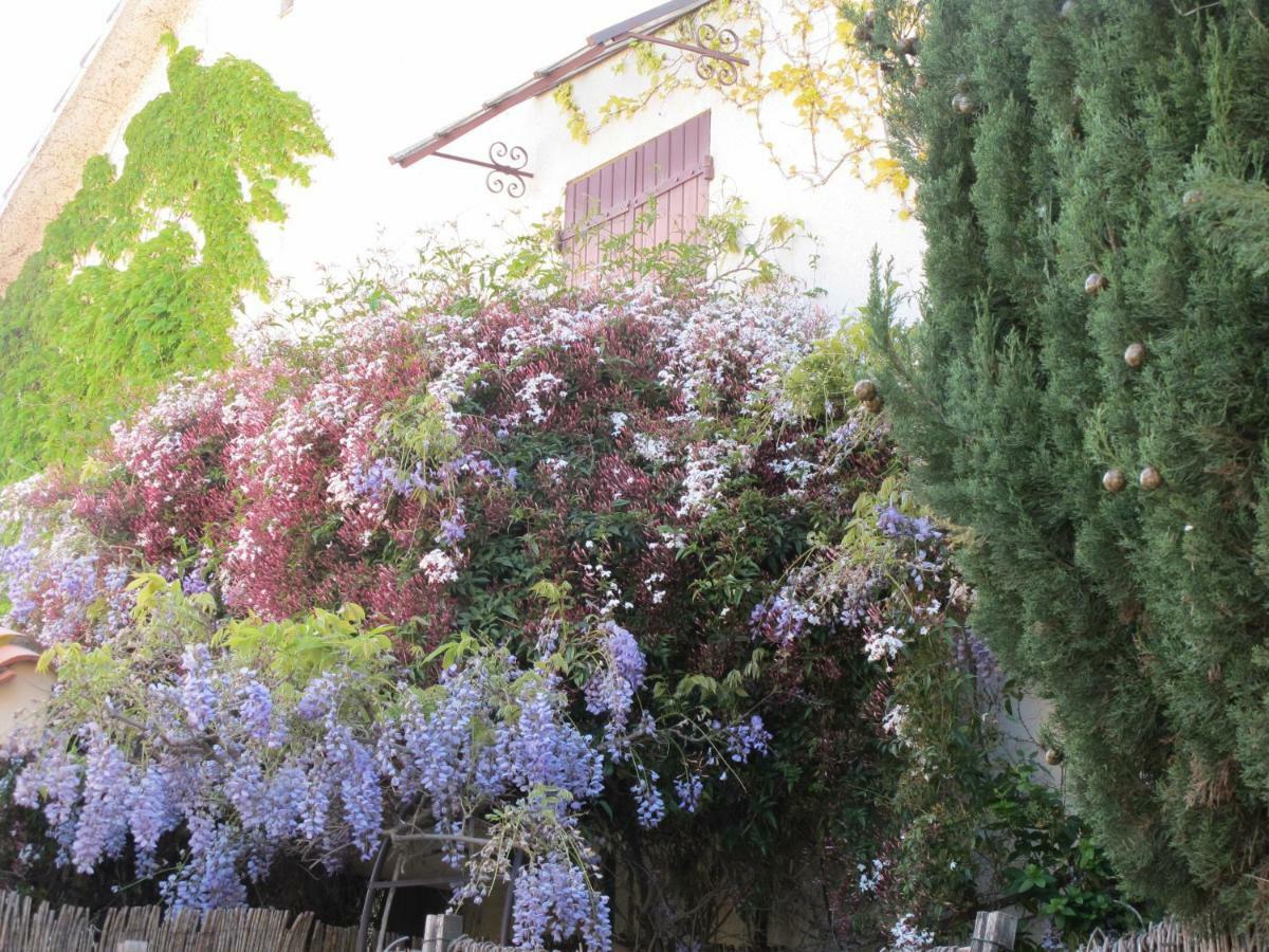 Casa-Tena-Sorède Exteriér fotografie