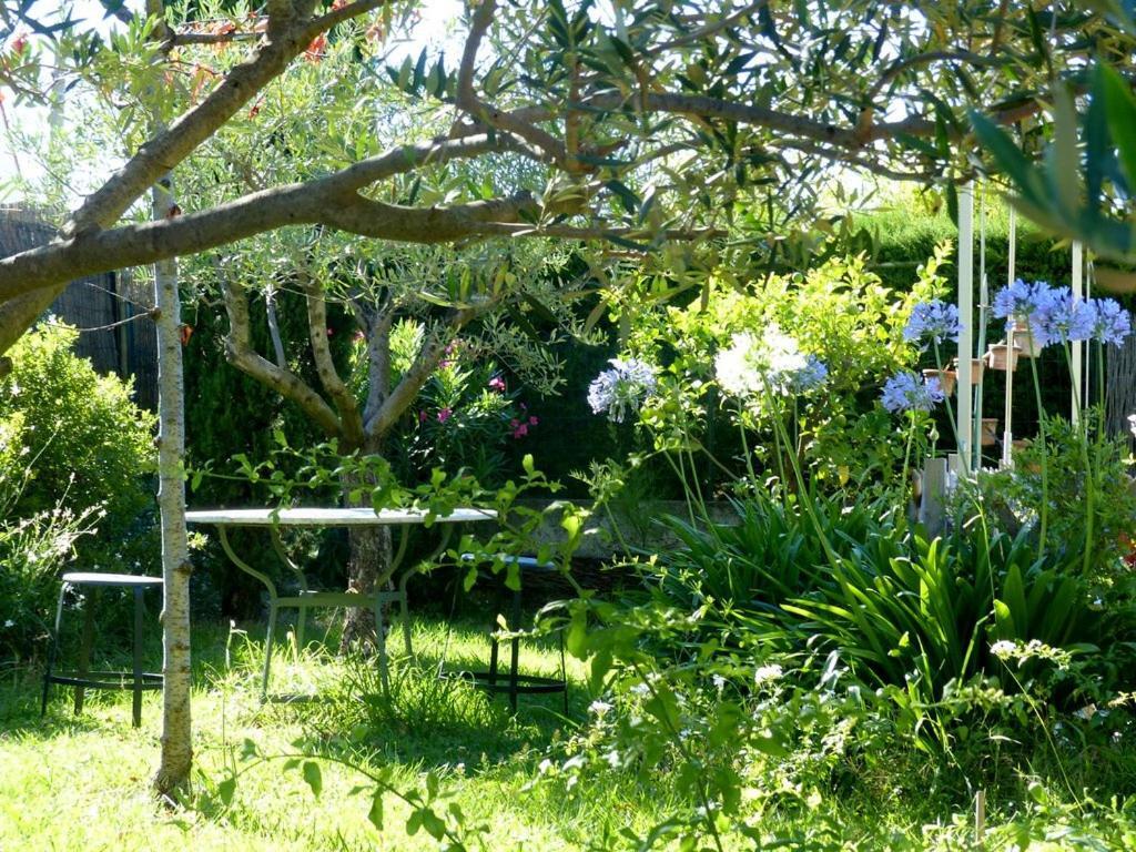 Casa-Tena-Sorède Pokoj fotografie